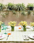 Outdoor dining setup with a crystal glasses, table, chairs, and decorative plants on a wall.